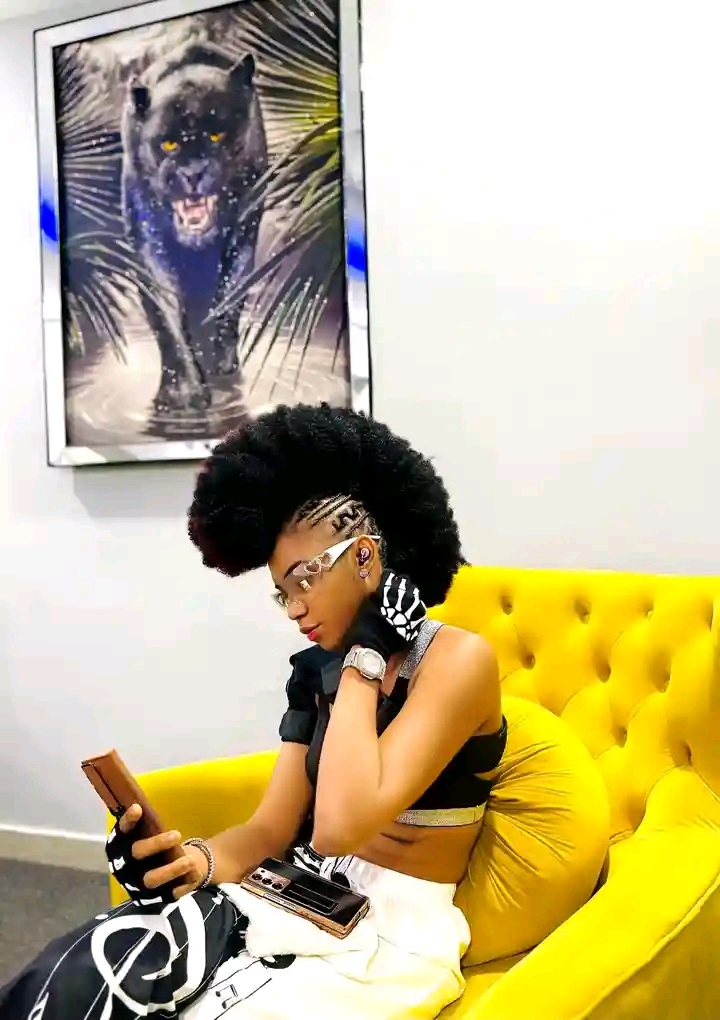 Profile